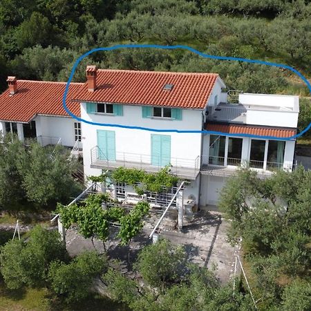 House Among Olive Trees With A Sea View 1 Lejlighed Ankaran Eksteriør billede