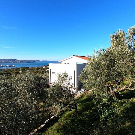 House Among Olive Trees With A Sea View 1 Lejlighed Ankaran Eksteriør billede