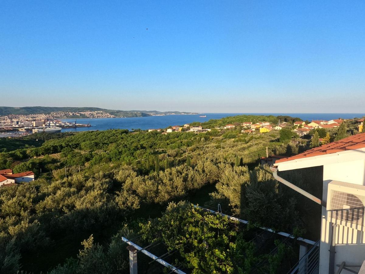 House Among Olive Trees With A Sea View 1 Lejlighed Ankaran Eksteriør billede
