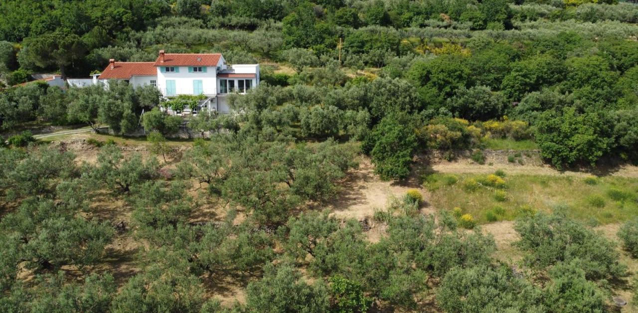 House Among Olive Trees With A Sea View 1 Lejlighed Ankaran Eksteriør billede