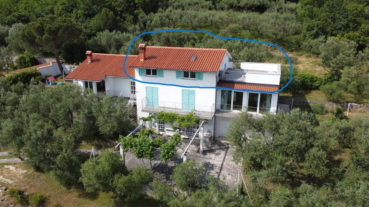 House Among Olive Trees With A Sea View 1 Lejlighed Ankaran Eksteriør billede