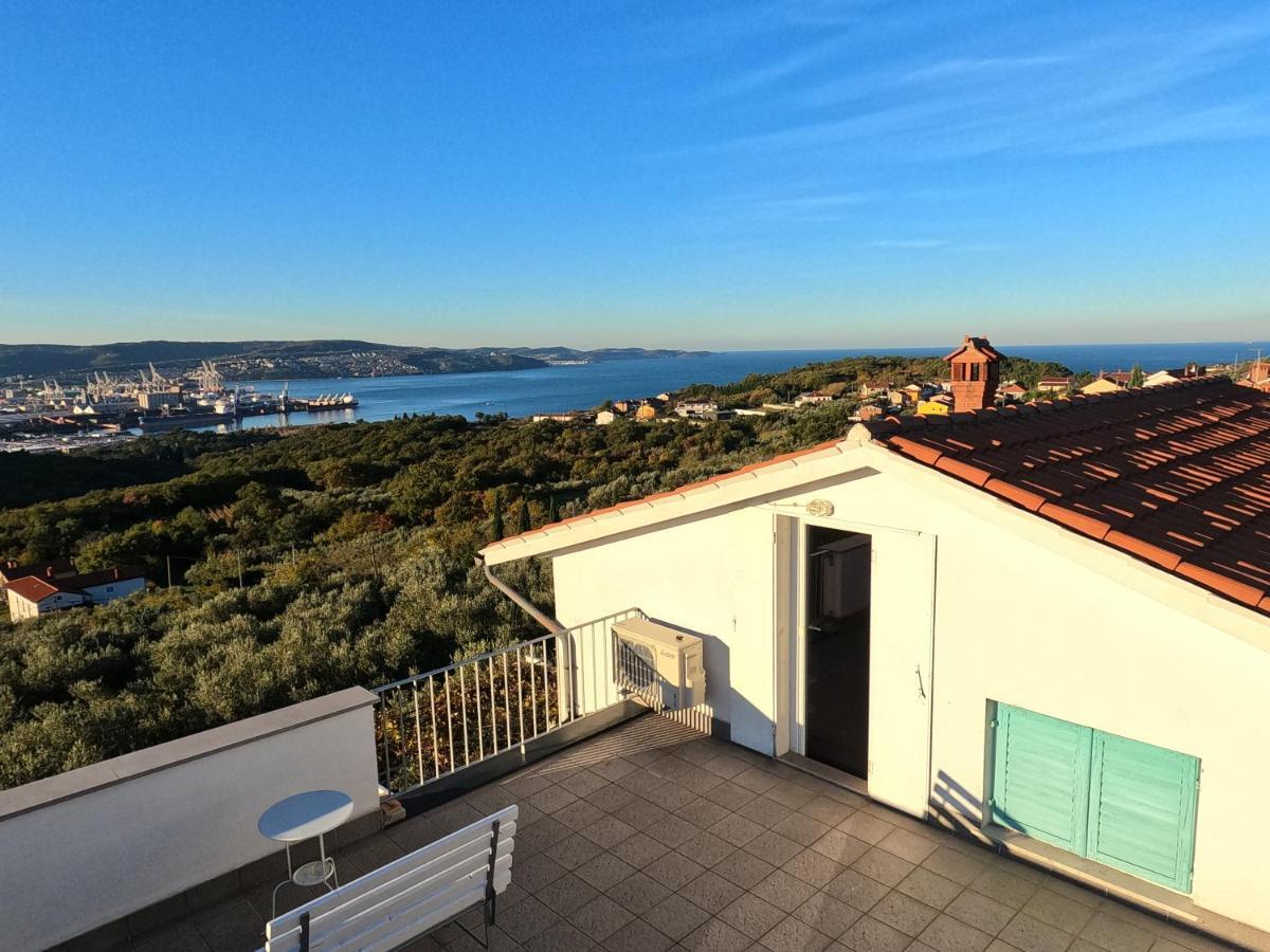 House Among Olive Trees With A Sea View 1 Lejlighed Ankaran Eksteriør billede