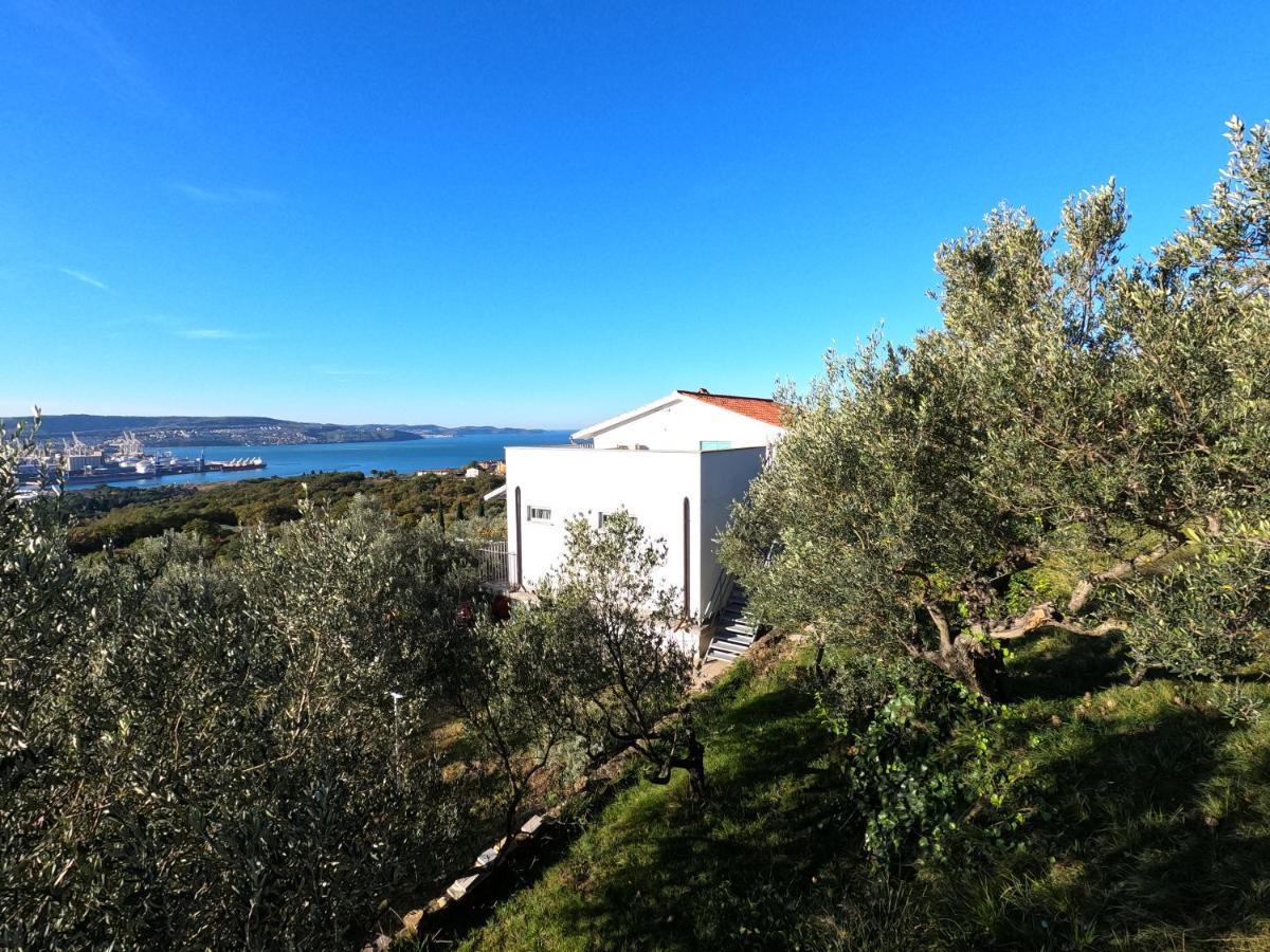 House Among Olive Trees With A Sea View 1 Lejlighed Ankaran Eksteriør billede
